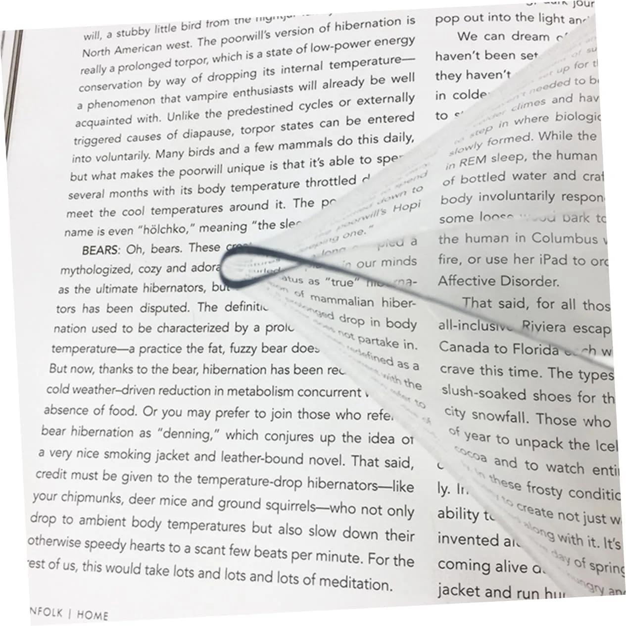 2pcs Women Transparent Bag Women Transparent Envelope Jelly Bag Sling Bag for Women Clutch Bag