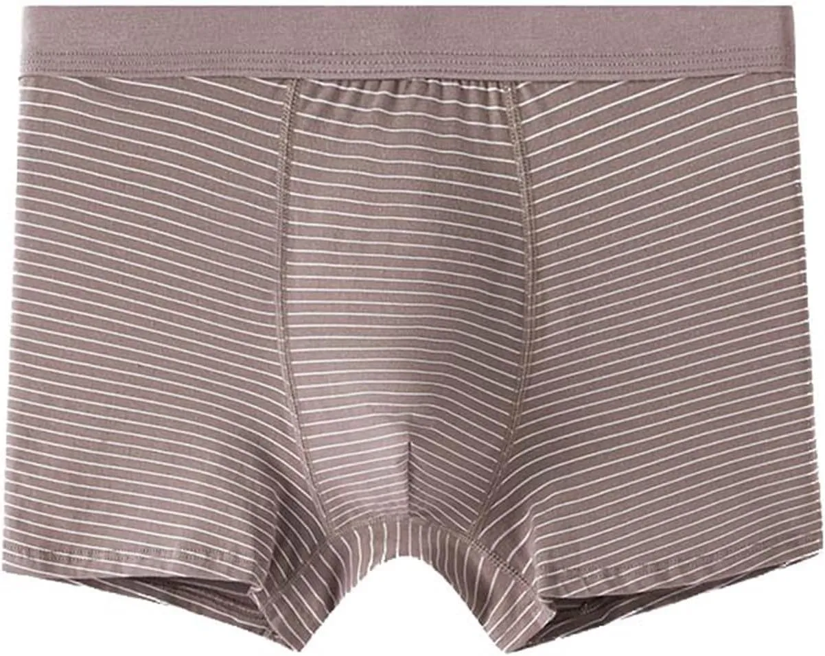 Men's Thong Underwear Thong G-String Underpants Mesh Thongs Breathable Briefs Bikini Sexy Lingerie