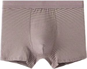 Men's Thong Underwear Thong G-String Underpants Mesh Thongs Breathable Briefs Bikini Sexy Lingerie