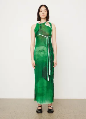 Mesh Cut-Out Maxi Dress