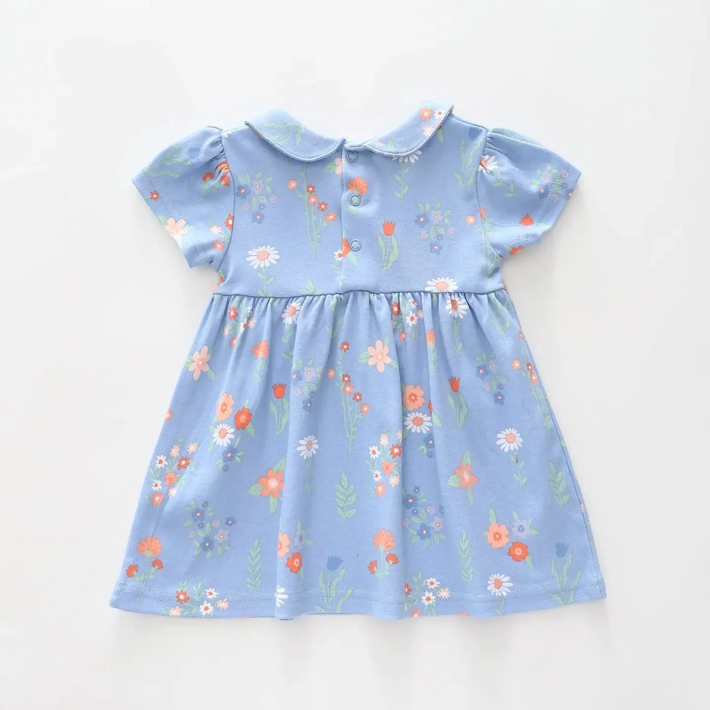 Spring Fields Dress
