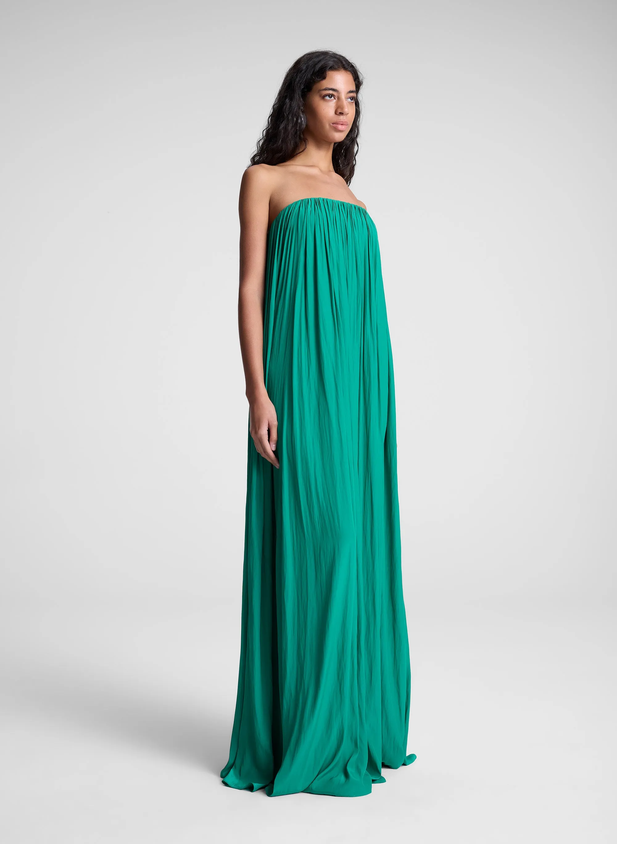 Wynn Strapless Gown